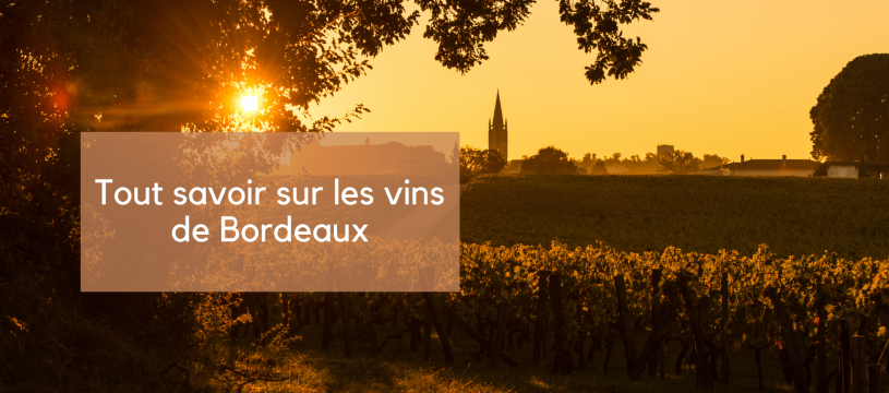 Tout savoir sur les vins de Bordeaux 
